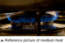 Reference picture of medium heat